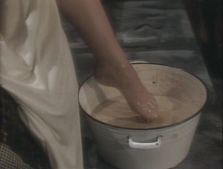 Liza Minnelli feet photo 6