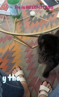 Lizzie Bassett feet photo 3