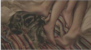 Lizzy Caplan feet photo thumbnail