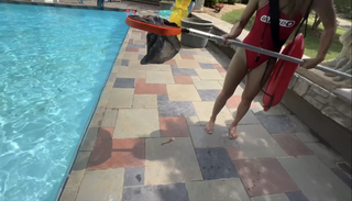 Lizzy Capri feet photo 12
