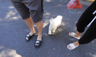 Lizzy Capri feet photo 13