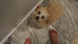 Lizzy Capri feet photo 3