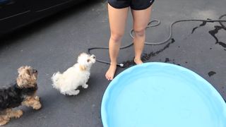 Lizzy Capri feet photo 9