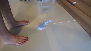 Lizzy Capri feet photo 12