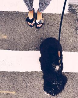 Lo Bosworth feet photo 6