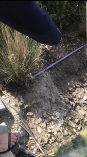 Logan Browning feet photo thumbnail