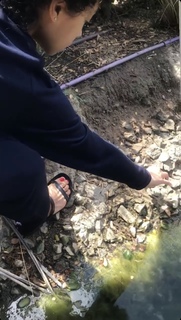 Logan Browning feet photo thumbnail