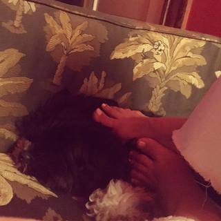 Lola Glaudini feet photo thumbnail