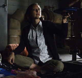 Lola Glaudini feet photo thumbnail