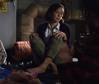 Lola Glaudini feet photo thumbnail