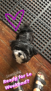 Lola Glaudini feet photo thumbnail