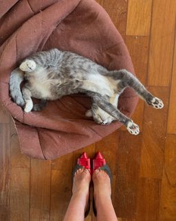 Lola Melnick feet photo 2