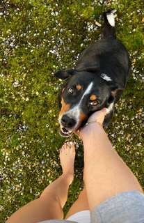 Lola Weippert feet photo thumbnail