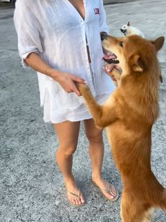 Lola Weippert feet photo thumbnail