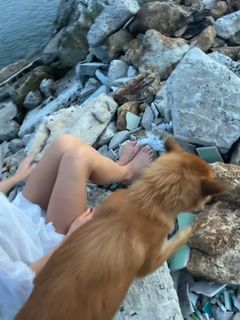 Lola Weippert feet photo thumbnail