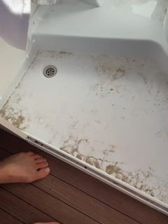 Lola Weippert feet photo thumbnail