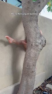 Lola Weippert feet photo 5