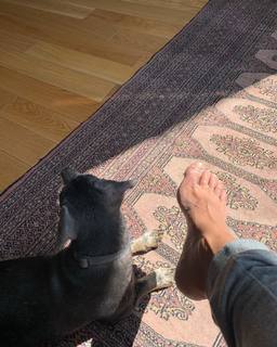 Lolita Flores feet photo 2