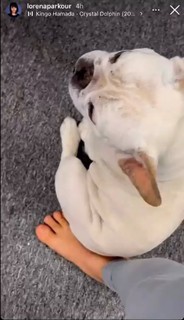 Lorena Abreu feet photo thumbnail