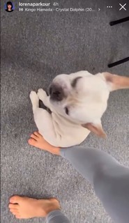 Lorena Abreu feet photo thumbnail