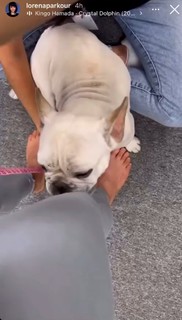 Lorena Abreu feet photo thumbnail