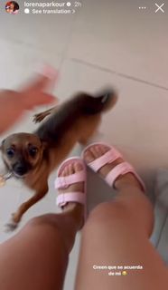 Lorena Abreu feet photo 9