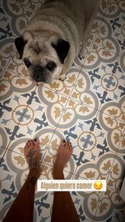 Lorena Castell feet photo 17