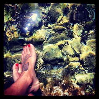Lorena Castell feet photo 12