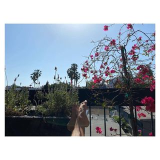Lorena Comparato feet photo 7