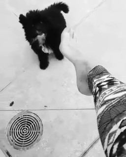 Lorena Robalino feet photo 19