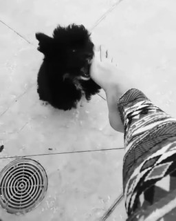Lorena Robalino feet photo 18