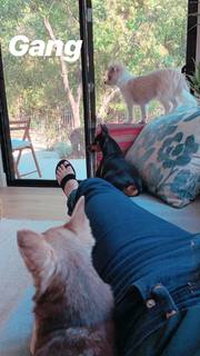 Lorenza Izzo feet photo thumbnail