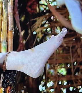 Lorenza Izzo feet photo thumbnail