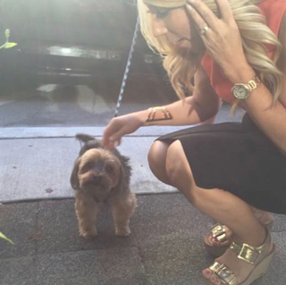 Lori Greiner feet photo thumbnail