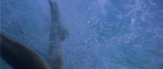 Lori Petty feet photo 1