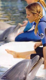 Lorie feet photo thumbnail