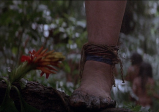 Lorraine Bracco feet photo thumbnail