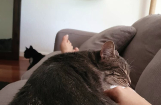 Loserfruit feet photo thumbnail