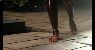 Lotte Verbeek feet photo 20