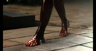 Lotte Verbeek feet photo 19