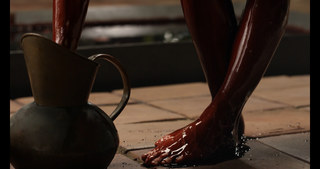 Lotte Verbeek feet photo 18