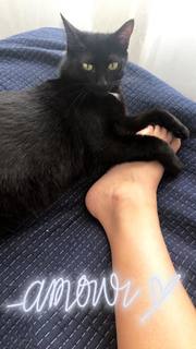 Louane Emera feet photo thumbnail