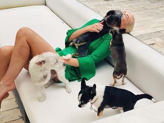 Louise Linton feet photo 6