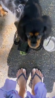 Louise Thompson feet photo thumbnail