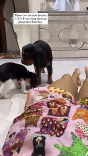 Louise Thompson feet photo thumbnail