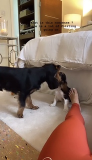 Louise Thompson feet photo thumbnail