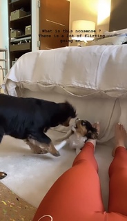 Louise Thompson feet photo thumbnail