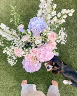 Louise Thompson feet photo thumbnail