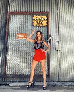 Lourdes Sánchez feet photo 14