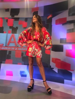 Lourdes Sánchez feet photo 6